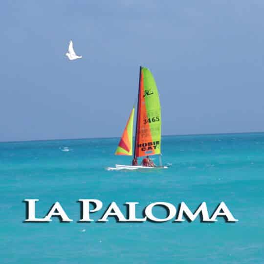 Cover La Paloma Song