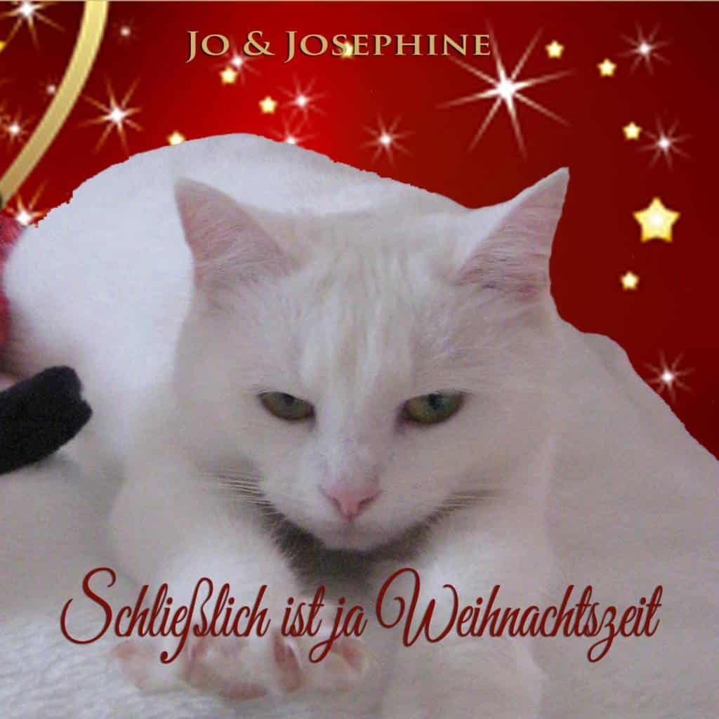 Weihnachtslied mit humorvollem Text Cover mit weißer Katze und Sternen
