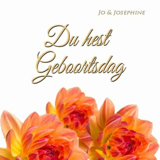 plattdeutsches Geburtstagslied Cover du hest Geboortsdag